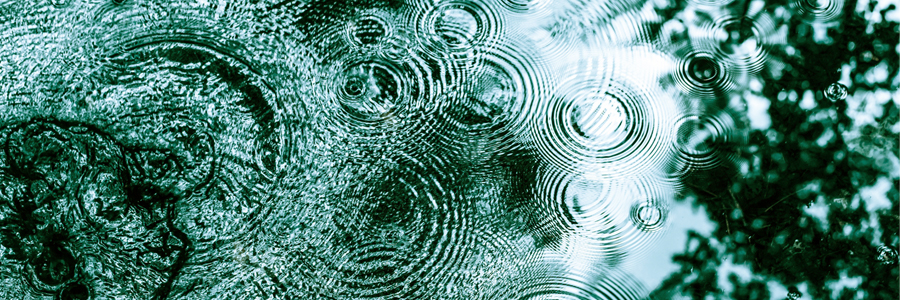 Fotogratia em tons de verde azulado, com a sombra de folhas e galhos de uma árvore refletida em uma poça com pingos de chuva caindo sobre o chão.
